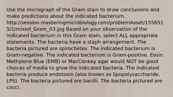 Use the micrograph of the Gram stain to draw conclusions and make predictions about the indicated bacterium. http://session.masteringmicrobiology.com/problemAsset/1556515/1/mixed_Gram_03.jpg Based on your observation of the indicated bacterium in this Gram stain, select ALL appropriate statements. The bacteria have a staph arrangement. The bacteria pictured are spirochetes. The indicated bacterium is Gram-negative. The indicated bacterium is Gram-positive. Eosin Methylene Blue (EMB) or MacConkey agar would NOT be good choices of media to grow the indicated bacteria. The indicated bacteria produce endotoxin (also known as lipopolysaccharide, LPS). The bacteria pictured are bacilli. The bacteria pictured are cocci.