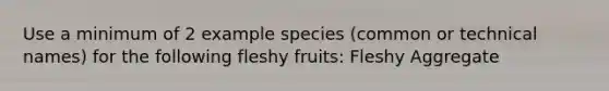 Use a minimum of 2 example species (common or technical names) for the following fleshy fruits: Fleshy Aggregate