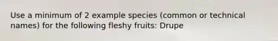 Use a minimum of 2 example species (common or technical names) for the following fleshy fruits: Drupe