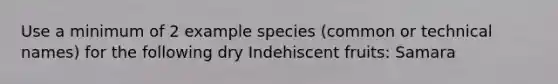 Use a minimum of 2 example species (common or technical names) for the following dry Indehiscent fruits: Samara