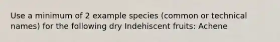 Use a minimum of 2 example species (common or technical names) for the following dry Indehiscent fruits: Achene