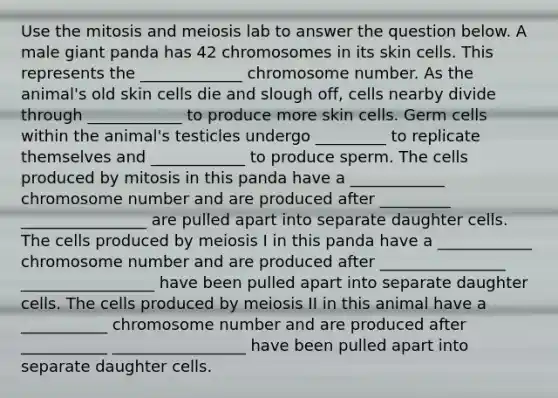 Use the mitosis and meiosis lab to answer the question below. A male giant panda has 42 chromosomes in its skin cells. This represents the _____________ chromosome number. As the animal's old skin cells die and slough off, cells nearby divide through ____________ to produce more skin cells. Germ cells within the animal's testicles undergo _________ to replicate themselves and ____________ to produce sperm. The cells produced by mitosis in this panda have a ____________ chromosome number and are produced after _________ ________________ are pulled apart into separate daughter cells. The cells produced by meiosis I in this panda have a ____________ chromosome number and are produced after ________________ _________________ have been pulled apart into separate daughter cells. The cells produced by meiosis II in this animal have a ___________ chromosome number and are produced after ___________ _________________ have been pulled apart into separate daughter cells.