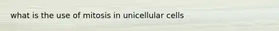 what is the use of mitosis in unicellular cells