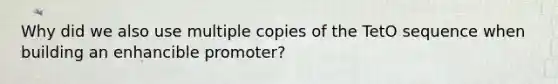 Why did we also use multiple copies of the TetO sequence when building an enhancible promoter?