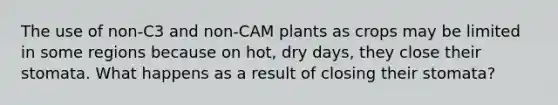 The use of non-C3 and non-CAM plants as crops may be limited in some regions because on hot, dry days, they close their stomata. What happens as a result of closing their stomata?