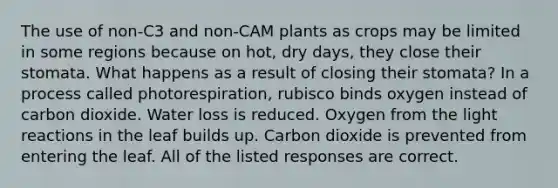 The use of non-C3 and non-CAM plants as crops may be limited in some regions because on hot, dry days, they close their stomata. What happens as a result of closing their stomata? In a process called photorespiration, rubisco binds oxygen instead of carbon dioxide. Water loss is reduced. Oxygen from the <a href='https://www.questionai.com/knowledge/kSUoWrrvoC-light-reactions' class='anchor-knowledge'>light reactions</a> in the leaf builds up. Carbon dioxide is prevented from entering the leaf. All of the listed responses are correct.