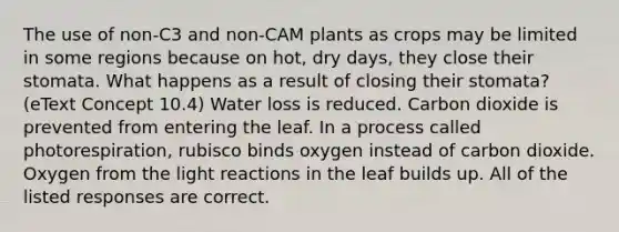 The use of non-C3 and non-CAM plants as crops may be limited in some regions because on hot, dry days, they close their stomata. What happens as a result of closing their stomata? (eText Concept 10.4) Water loss is reduced. Carbon dioxide is prevented from entering the leaf. In a process called photorespiration, rubisco binds oxygen instead of carbon dioxide. Oxygen from the light reactions in the leaf builds up. All of the listed responses are correct.