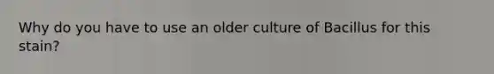 Why do you have to use an older culture of Bacillus for this stain?