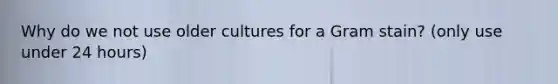 Why do we not use older cultures for a Gram stain? (only use under 24 hours)