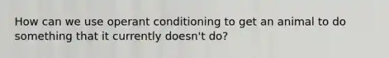 How can we use operant conditioning to get an animal to do something that it currently doesn't do?