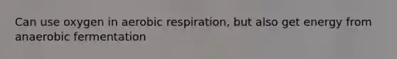 Can use oxygen in aerobic respiration, but also get energy from anaerobic fermentation