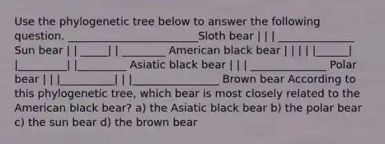 Use the phylogenetic tree below to answer the following question. ________________________Sloth bear | | | ______________ Sun bear | | _____| | ________ American black bear | | | | |______| |_________| |_________ Asiatic black bear | | | ______________ Polar bear | | |__________| | |________________ Brown bear According to this phylogenetic tree, which bear is most closely related to the American black bear? a) the Asiatic black bear b) the polar bear c) the sun bear d) the brown bear