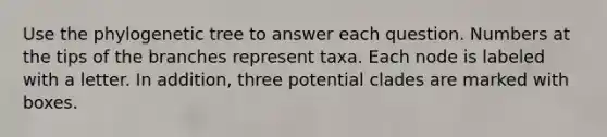 Use the phylogenetic tree to answer each question. Numbers at the tips of the branches represent taxa. Each node is labeled with a letter. In addition, three potential clades are marked with boxes.