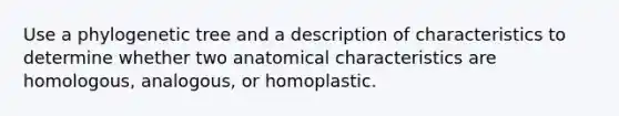 Use a phylogenetic tree and a description of characteristics to determine whether two anatomical characteristics are homologous, analogous, or homoplastic.