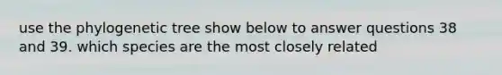 use the phylogenetic tree show below to answer questions 38 and 39. which species are the most closely related