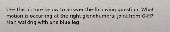 Use the picture below to answer the following question. What motion is occurring at the right glenohumeral joint from G-H? Man walking with one blue leg