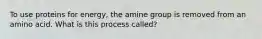 To use proteins for energy, the amine group is removed from an amino acid. What is this process called?