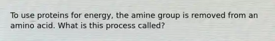 To use proteins for energy, the amine group is removed from an amino acid. What is this process called?