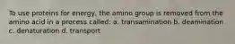 To use proteins for energy, the amino group is removed from the amino acid in a process called: a. transamination b. deamination c. denaturation d. transport