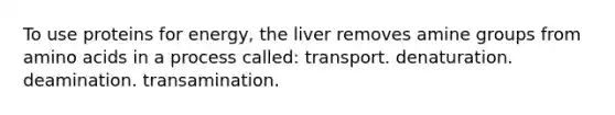 To use proteins for energy, the liver removes amine groups from amino acids in a process called: transport. denaturation. deamination. transamination.