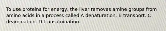 To use proteins for energy, the liver removes amine groups from amino acids in a process called A denaturation. B transport. C deamination. D transamination.