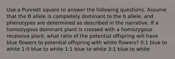 Use a Punnett square to answer the following questions. Assume that the B allele is completely dominant to the b allele, and phenotypes are determined as described in the narrative. If a homozygous dominant plant is crossed with a homozygous recessive plant, what ratio of the potential offspring will have blue flowers to potential offspring with white flowers? 0:1 blue to white 1:0 blue to white 1:1 blue to white 3:1 blue to white