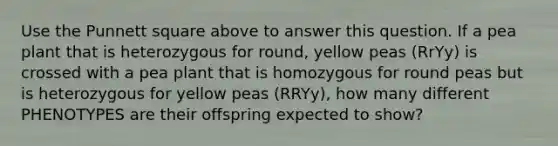 Use the Punnett square above to answer this question. If a pea plant that is heterozygous for round, yellow peas (RrYy) is crossed with a pea plant that is homozygous for round peas but is heterozygous for yellow peas (RRYy), how many different PHENOTYPES are their offspring expected to show?