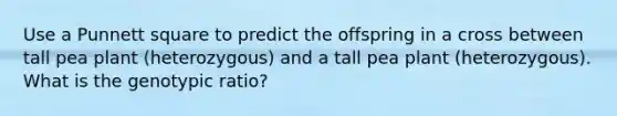 Use a Punnett square to predict the offspring in a cross between tall pea plant (heterozygous) and a tall pea plant (heterozygous). What is the genotypic ratio?