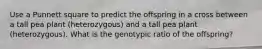 Use a Punnett square to predict the offspring in a cross between a tall pea plant (heterozygous) and a tall pea plant (heterozygous). What is the genotypic ratio of the offspring?