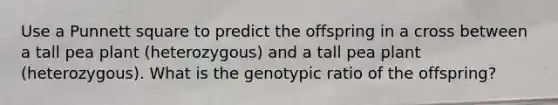 Use a Punnett square to predict the offspring in a cross between a tall pea plant (heterozygous) and a tall pea plant (heterozygous). What is the genotypic ratio of the offspring?