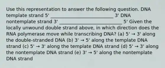 Use this representation to answer the following question. DNA template strand 5' ___________________________ 3' DNA nontemplate strand 3' ___________________________ 5' Given the locally unwound double strand above, in which direction does the RNA polymerase move while transcribing DNA? (a) 5' → 3' along the double-stranded DNA (b) 3' → 5' along the template DNA strand (c) 5' → 3' along the template DNA strand (d) 5' → 3' along the nontemplate DNA strand (e) 3' → 5' along the nontemplate DNA strand