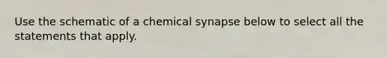 Use the schematic of a chemical synapse below to select all the statements that apply.