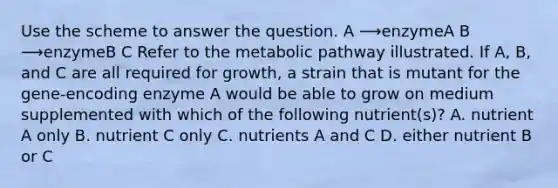 Use the scheme to answer the question. A ⟶enzymeA B ⟶enzymeB C Refer to the metabolic pathway illustrated. If A, B, and C are all required for growth, a strain that is mutant for the gene-encoding enzyme A would be able to grow on medium supplemented with which of the following nutrient(s)? A. nutrient A only B. nutrient C only C. nutrients A and C D. either nutrient B or C