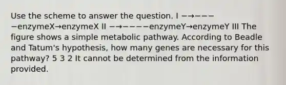 Use the scheme to answer the question. I −→−−−−enzymeX→enzymeX II −→−−−−enzymeY→enzymeY III The figure shows a simple metabolic pathway. According to Beadle and Tatum's hypothesis, how many genes are necessary for this pathway? 5 3 2 It cannot be determined from the information provided.