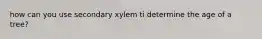 how can you use secondary xylem ti determine the age of a tree?