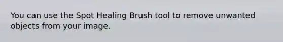 You can use the Spot Healing Brush tool to remove unwanted objects from your image.