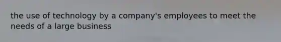 the use of technology by a company's employees to meet the needs of a large business