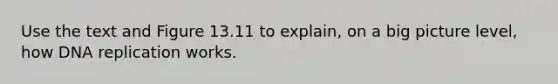 Use the text and Figure 13.11 to explain, on a big picture level, how DNA replication works.