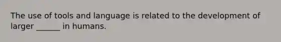 The use of tools and language is related to the development of larger ______ in humans.