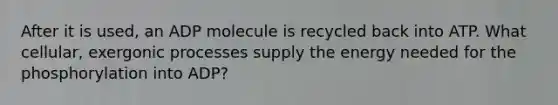 After it is used, an ADP molecule is recycled back into ATP. What cellular, exergonic processes supply the energy needed for the phosphorylation into ADP?