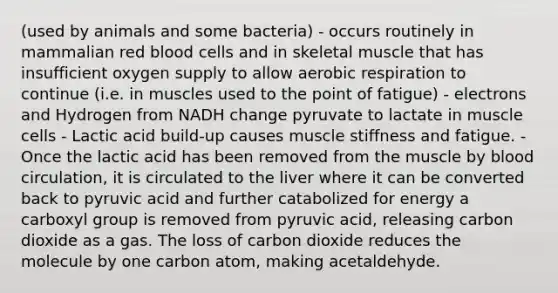 (used by animals and some bacteria) - occurs routinely in mammalian red blood cells and in skeletal muscle that has insufficient oxygen supply to allow <a href='https://www.questionai.com/knowledge/kyxGdbadrV-aerobic-respiration' class='anchor-knowledge'>aerobic respiration</a> to continue (i.e. in muscles used to the point of fatigue) - electrons and Hydrogen from NADH change pyruvate to lactate in muscle cells - Lactic acid build-up causes muscle stiffness and fatigue. - Once the lactic acid has been removed from the muscle by blood circulation, it is circulated to the liver where it can be converted back to pyruvic acid and further catabolized for energy a carboxyl group is removed from pyruvic acid, releasing carbon dioxide as a gas. The loss of carbon dioxide reduces the molecule by one carbon atom, making acetaldehyde.