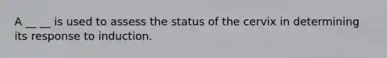 A __ __ is used to assess the status of the cervix in determining its response to induction.