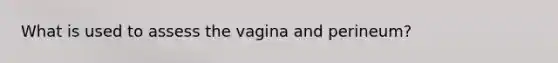 What is used to assess the vagina and perineum?