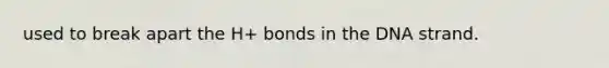 used to break apart the H+ bonds in the DNA strand.