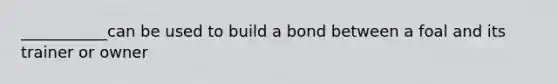 ___________can be used to build a bond between a foal and its trainer or owner