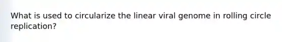 What is used to circularize the linear viral genome in rolling circle replication?