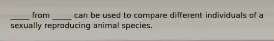 _____ from _____ can be used to compare different individuals of a sexually reproducing animal species.