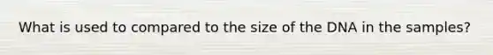 What is used to compared to the size of the DNA in the samples?