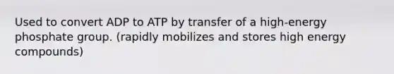 Used to convert ADP to ATP by transfer of a high-energy phosphate group. (rapidly mobilizes and stores high energy compounds)