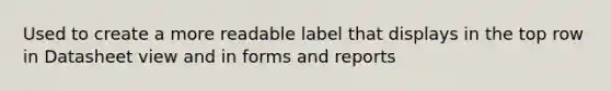 Used to create a more readable label that displays in the top row in Datasheet view and in forms and reports